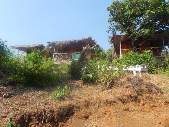 Cola Beach Goa India