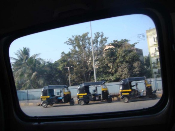 TRANS 555422_10151264932862655_336943264_n