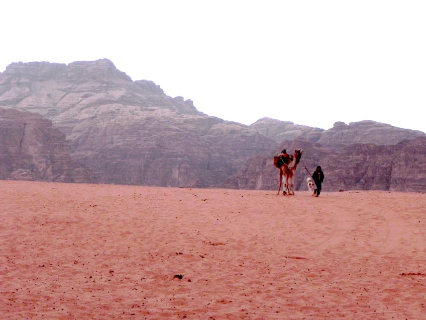 Wadi Rum WadiRum Jordan VisitJordan Camels Sand Bedouin Tea Camp Hike Mountain Blog TravelBlog Sand Feet Camel