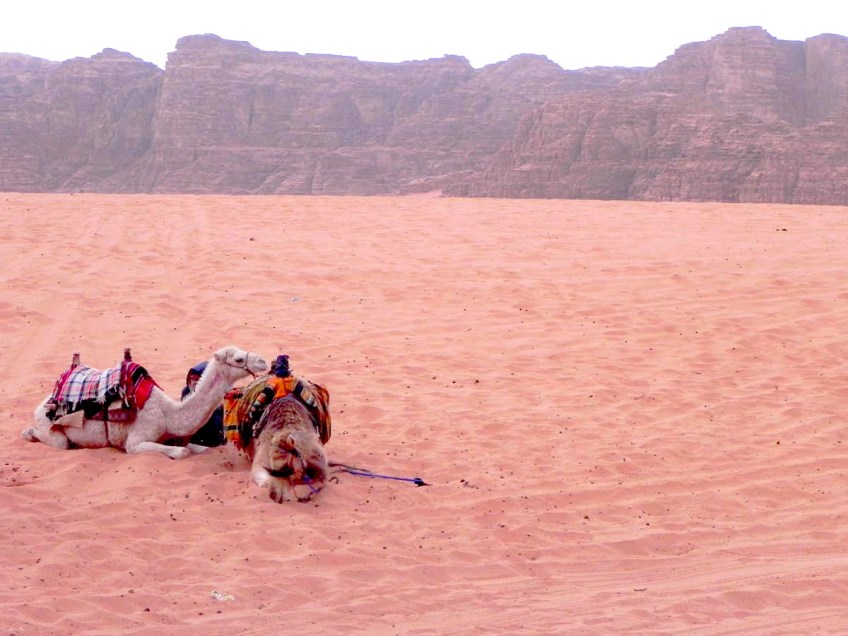Wadi Rum WadiRum Jordan VisitJordan Camels Sand Bedouin Tea Camp Hike Mountain Blog TravelBlog