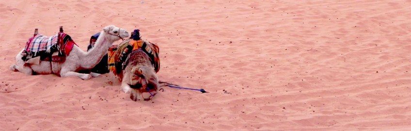 Wadi Rum WadiRum Jordan VisitJordan Camels Sand Bedouin Tea Camp Hike Mountain Blog TravelBlog Sand Feet Camel