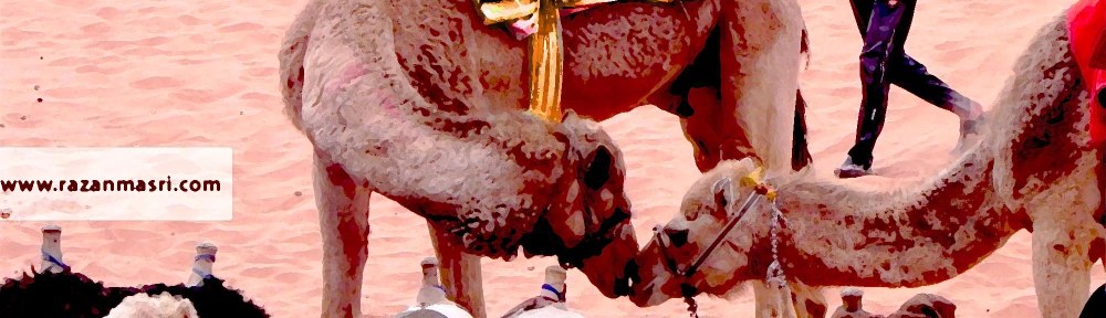 Wadi Rum WadiRum Jordan VisitJordan Camels Sand Bedouin Tea Camp Hike Mountain Blog TravelBlog