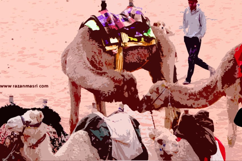 Wadi Rum WadiRum Jordan VisitJordan Camels Sand Bedouin Tea Camp Hike Mountain Blog TravelBlog