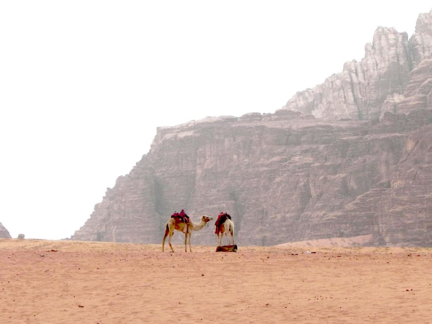 Wadi Rum WadiRum Jordan VisitJordan Camels Sand Bedouin Tea Camp Hike Mountain Blog TravelBlog