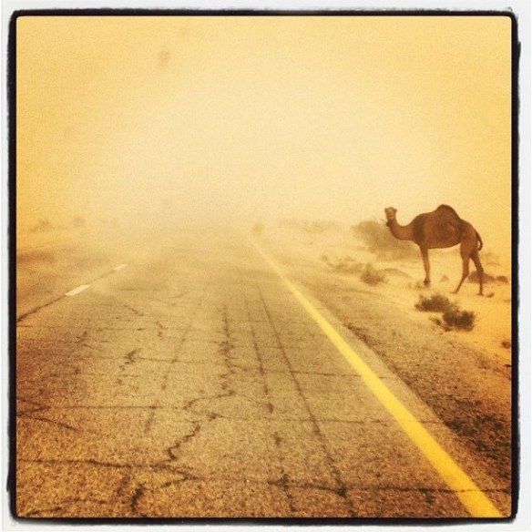 Wadi Rum WadiRum Jordan VisitJordan Camels Sand Bedouin Tea Camp Hike Mountain Blog TravelBlog