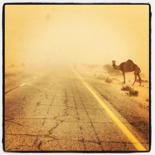 Wadi Rum WadiRum Jordan VisitJordan Camels Sand Bedouin Tea Camp Hike Mountain Blog TravelBlog