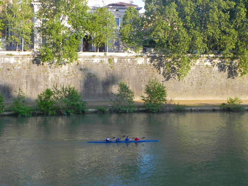 a group of people canoeing at tevere the river of rome