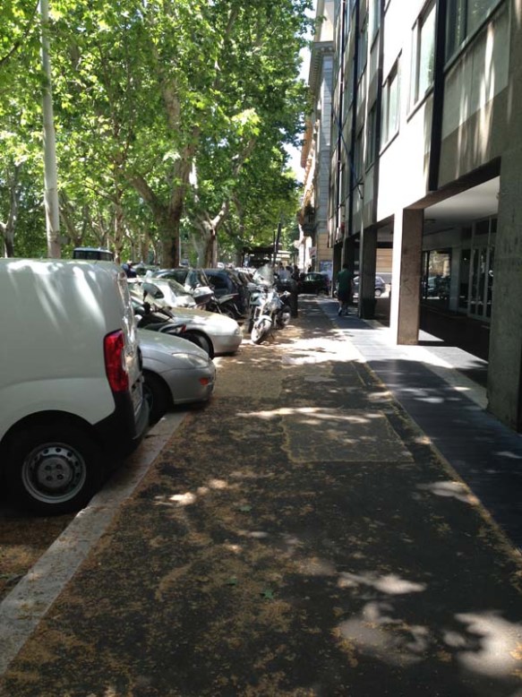 Street between the trees of Teastevere