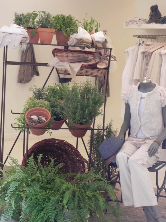 Cute local brand interior