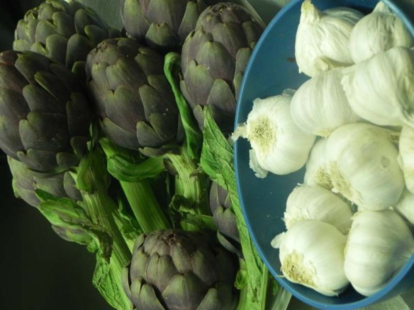 Making artichoke with garlic at cooking class chef andrea 