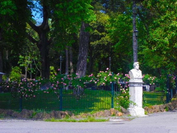 Pink roses at villa borghese gardens