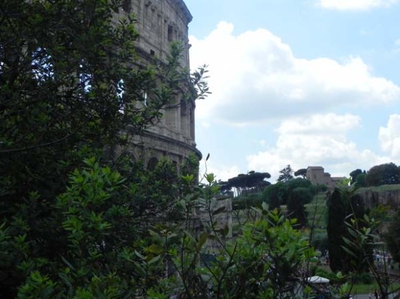 Trees surrounding Piazza del Colosseo