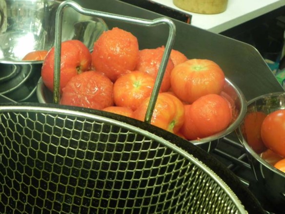 Piled Tomato for sauce during Italian cooking class 