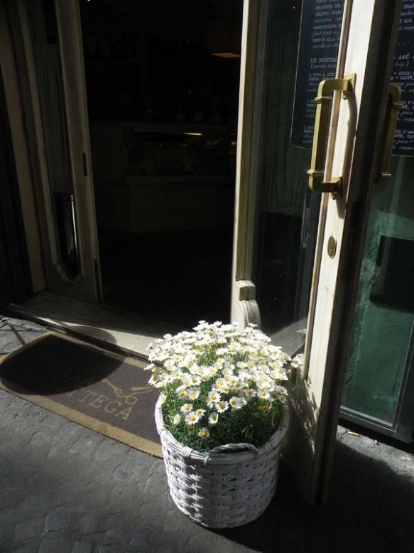 exterior of casa & bottega with white sunflower pot