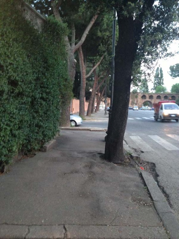 A street lane with green trees and grass at Testaccio Rome italy 