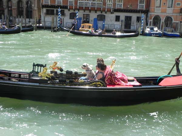 A gondola and a gondolier at the Grand Canal family lovers romantic with puppy