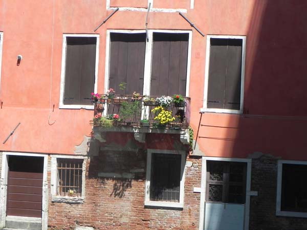 Architecture in venice is breathtaking specially with the beautiful cute little windows and decorations art is in everything yellow flowers