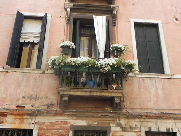 Architecture in venice is breathtaking specially with the beautiful cute little windows and decorations art is in everything white flowers