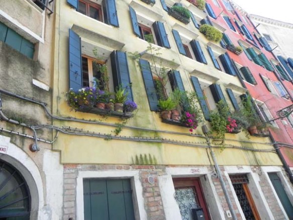Architecture in venice is breathtaking specially with the beautiful cute little windows and decorations art is in everything tile windows and flower pots