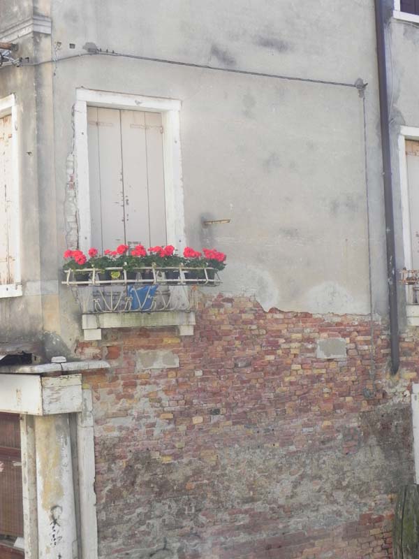 Architecture in venice is breathtaking specially with the beautiful cute little windows and decorations art is in everything