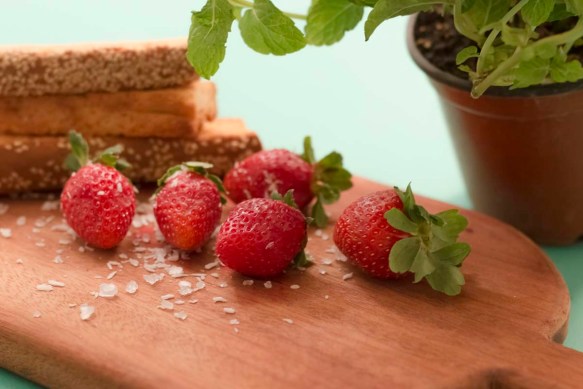 RazanMasri_ProjectPhotography_25