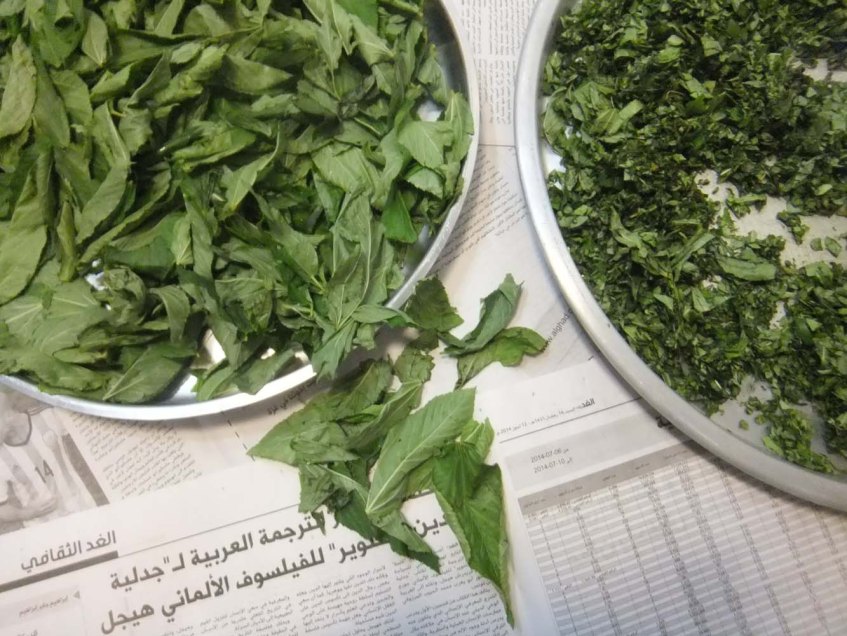 A Middle-Eastern Aranian dish Mulukhiah Mloukhieh green leaves vegetables with rice