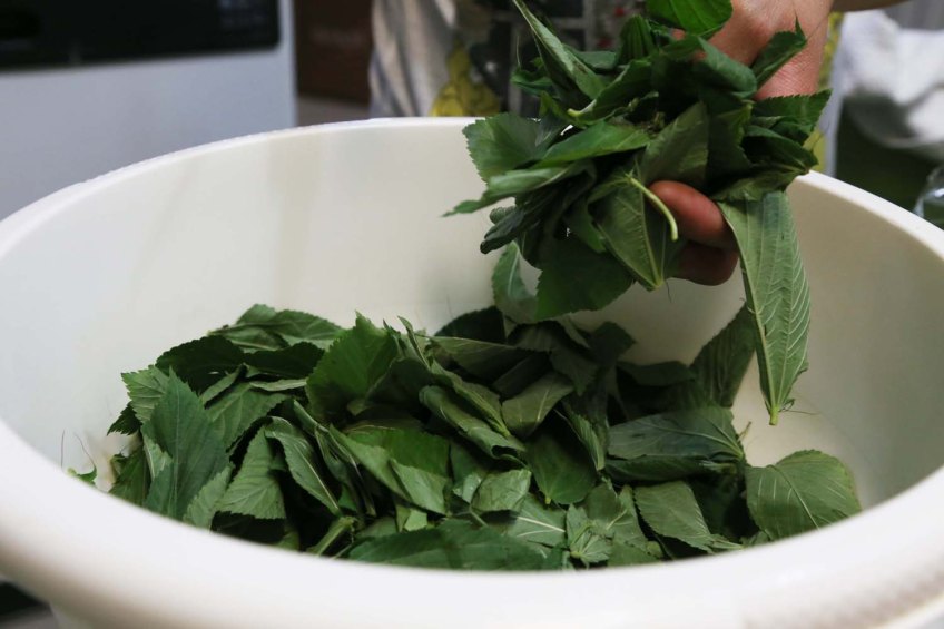 A Middle-Eastern Arabian dish Mulukhiah Mloukhieh green leaves vegetables with rice