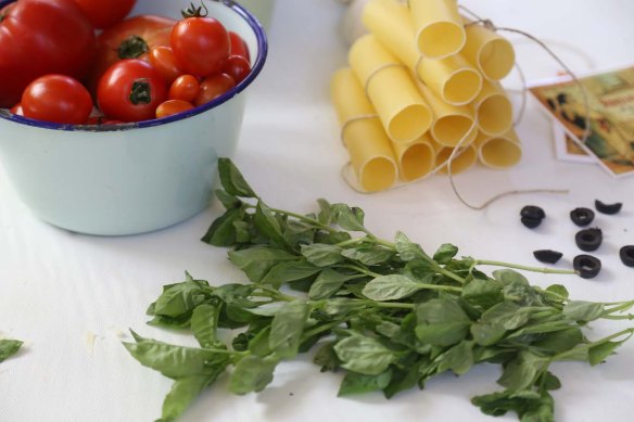 Cannelloni-Recipe-in-the-making-Tomato-Italian-Cooking-basil