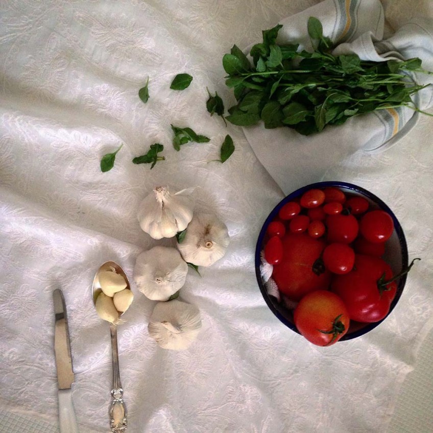 A photograph of Cannelloni pasta fresh tomato's garlic tomato paste and minced meat