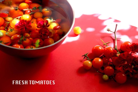 Tomato art styling and food styling with garlic and red flowers