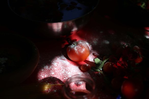 Tomato under a spotlight - Food art and Food styling