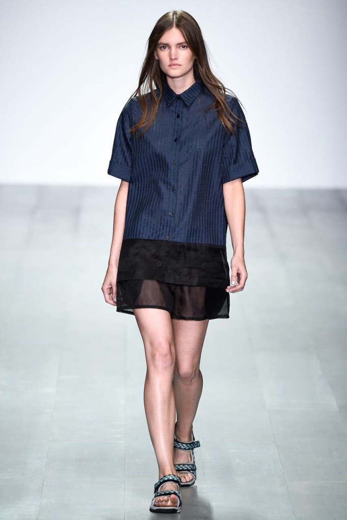 Sheer chiffon organza dress