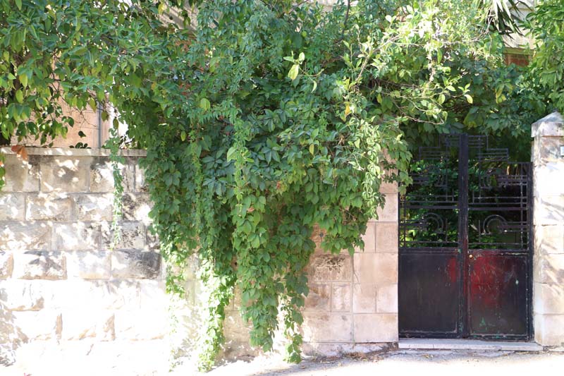 Webdeh Area Amman Jordan Urban