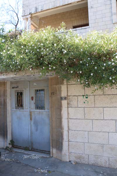 Webdeh Area Amman Jordan Urban Door photograph