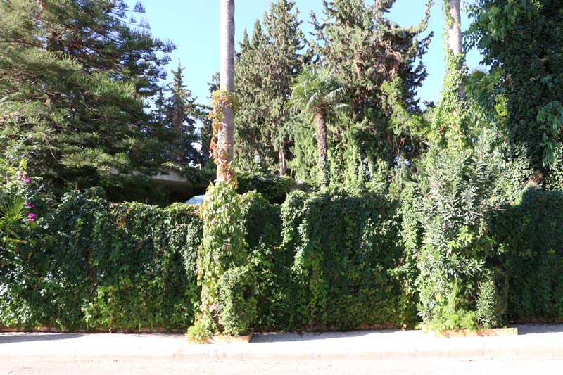 Amman Street Photography Jordan