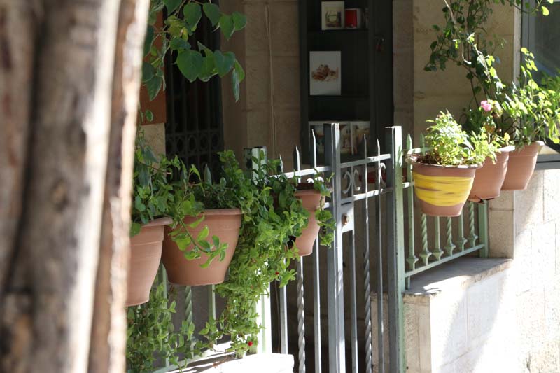 Street Photography Amman Jordan