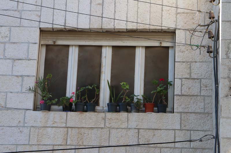 Street Photography Amman Jordan