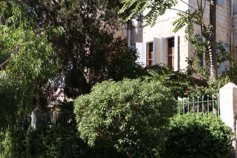 Street Photography Amman Jordan