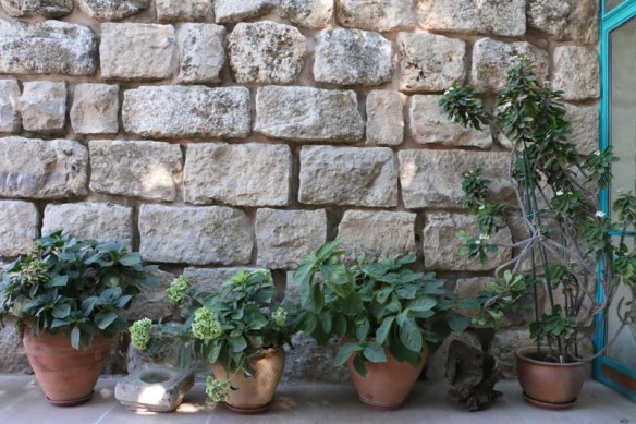 Amman Jordan Suburbs