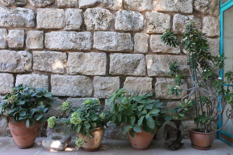 Amman Jordan Suburbs