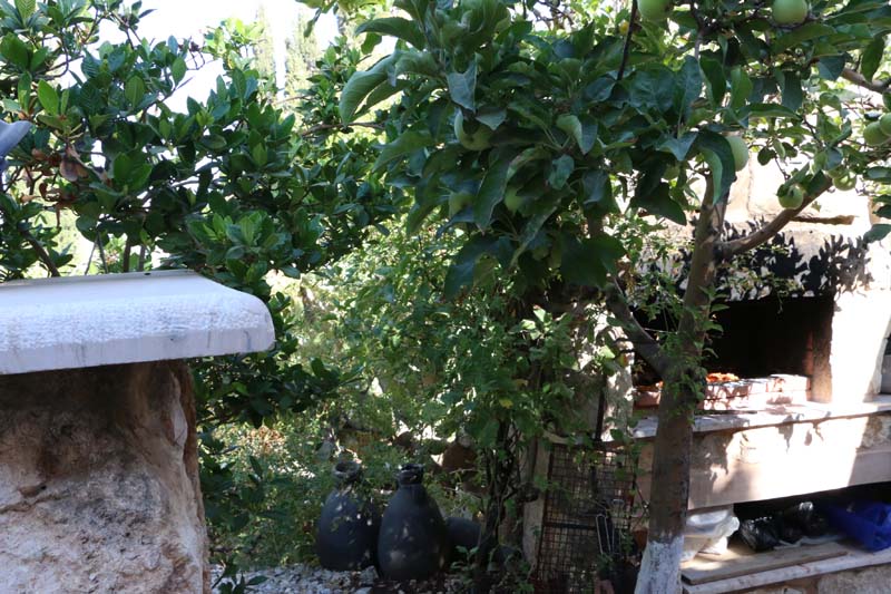 Amman Jordan Suburbs