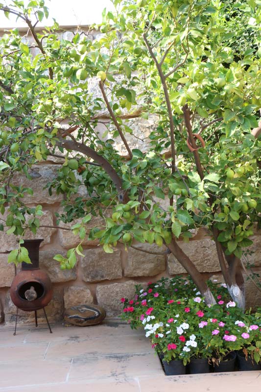 Amman Jordan Suburbs