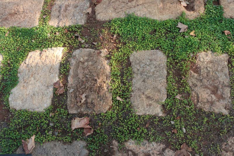 Amman Jordan Suburbs