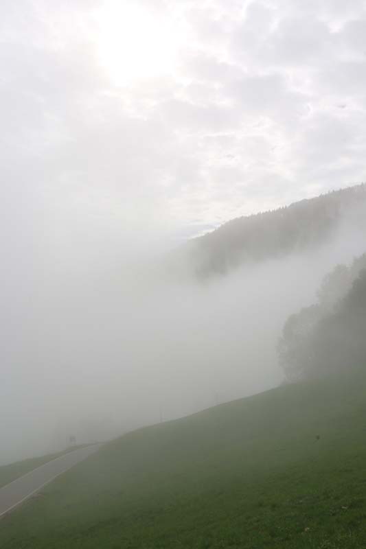 Fog Tannenheim Oberbalmberg, Solothurn (Switzerland)