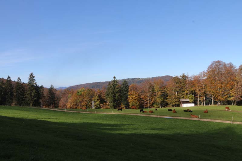Tannenheim Oberbalmberg, Solothurn (Switzerland)