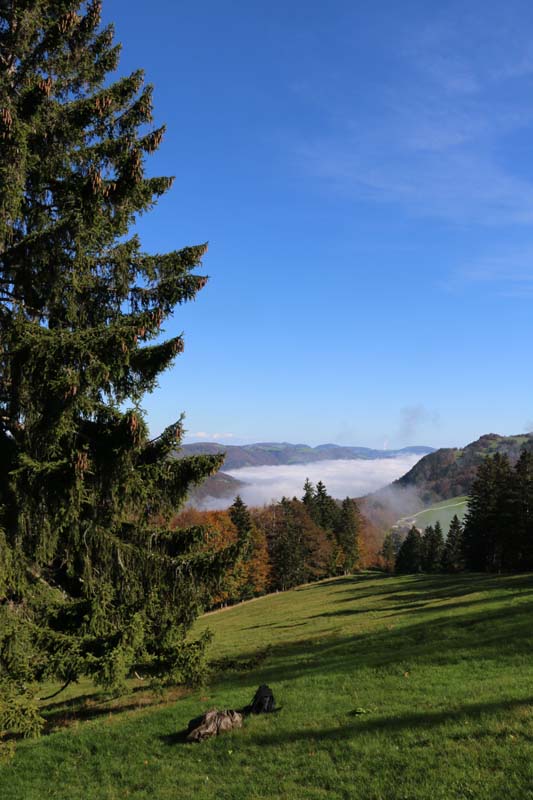 Tannenheim Oberbalmberg, Solothurn (Switzerland)
