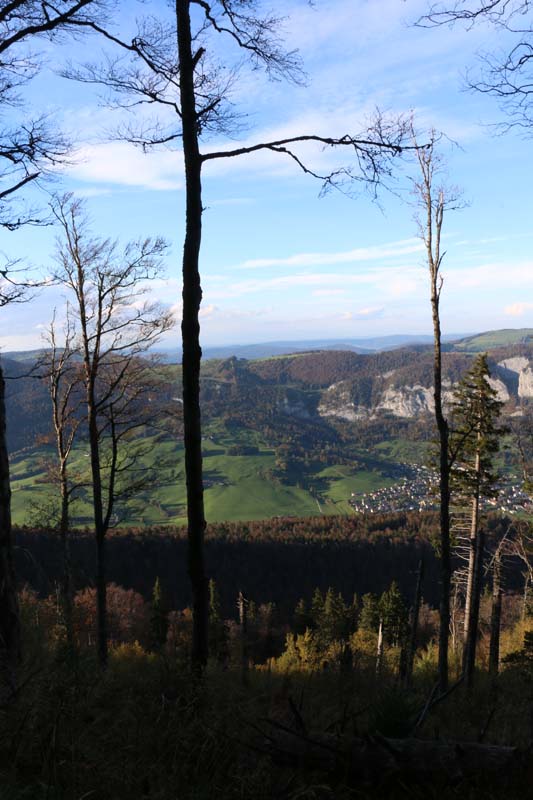 Breathtaking view Tannenheim Oberbalmberg, Solothurn (Switzerland)
