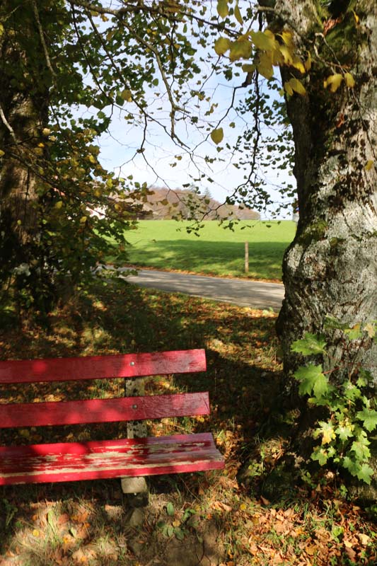 beautiful view Tannenheim Oberbalmberg, Solothurn (Switzerland)
