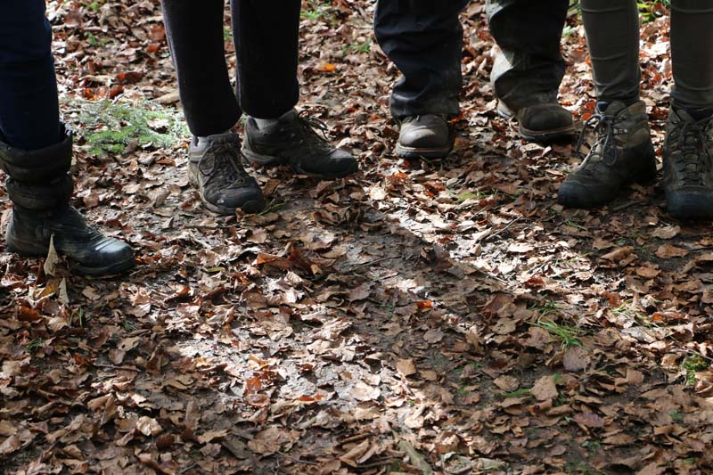 Winter fall and hiking Tannenheim Oberbalmberg, Solothurn (Switzerland)