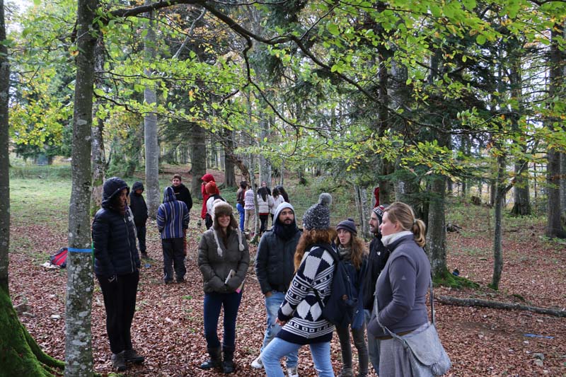 Hiking group at Tannenheim Oberbalmberg, Solothurn (Switzerland)